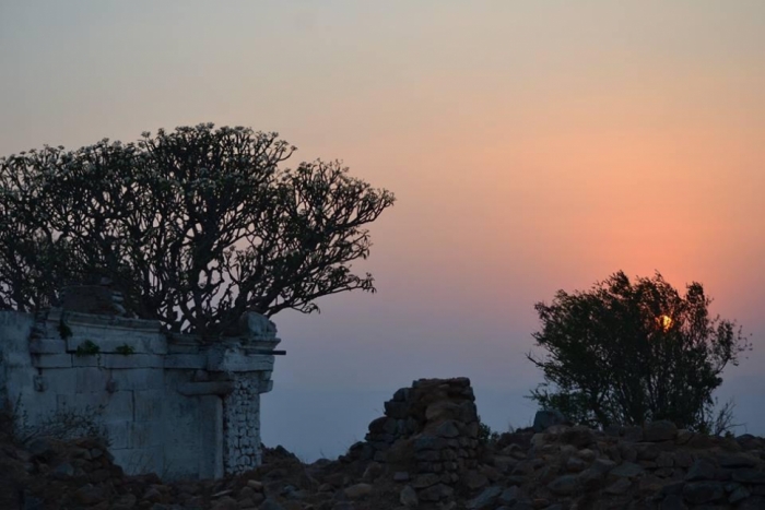 idea99rise_of_sun_in_morning.jpg