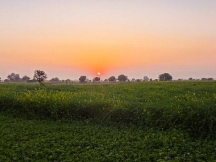 idea99sun_at_fields.jpg