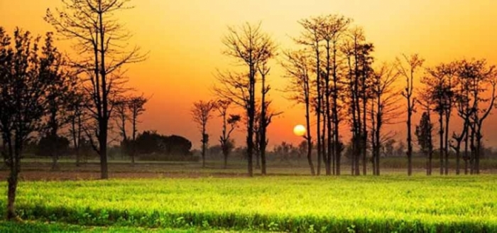 idea99sun_hoshiarpur.jpg idea99sun_hoshiarpur.jpg