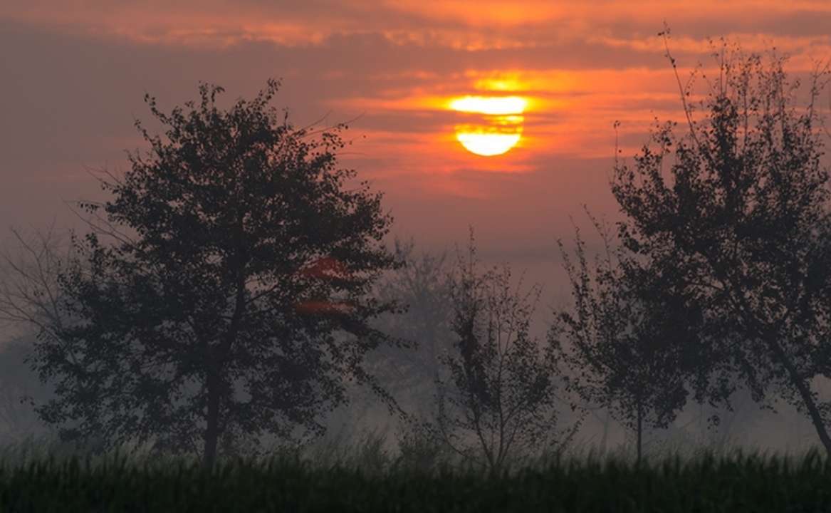 idea99sun_image.jpg