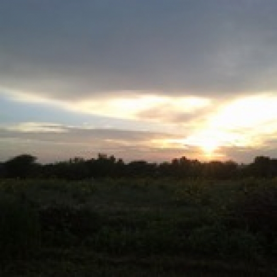idea99sun_in_hissar.jpg