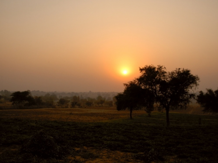 idea99sunlight_in_hisar.jpg