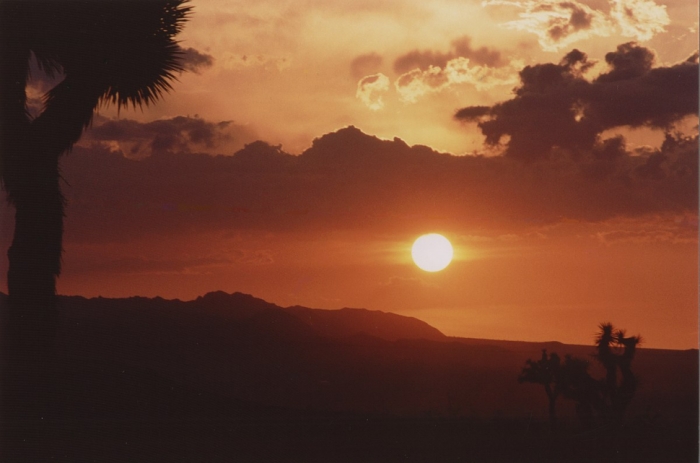 idea99sunrise_monday.jpg idea99sunrise_monday.jpg