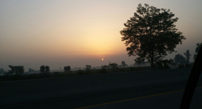 idea99sunset_tree.jpg