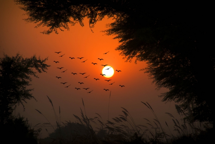 idea99sunset_view.jpg