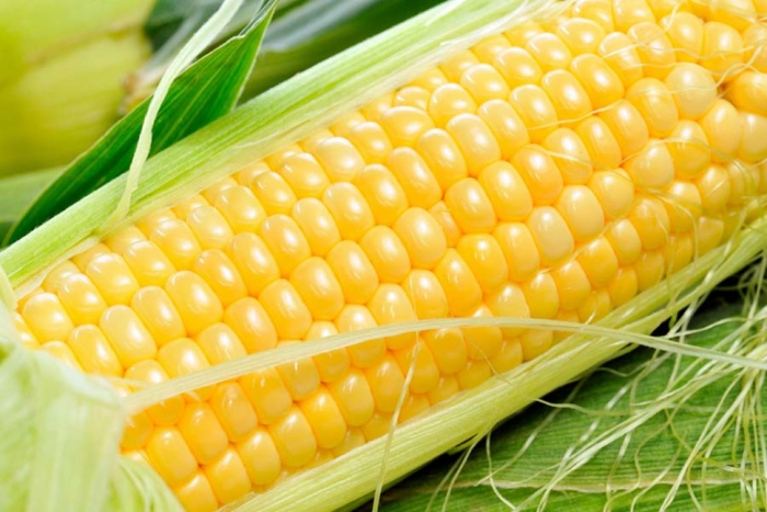 idea99sweet_corn.jpg