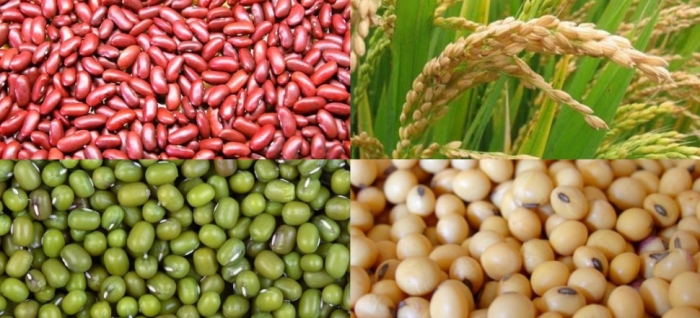 idea99uttarkhand_crop_28th_june.jpg idea99uttarkhand_crop_28th_june.jpg