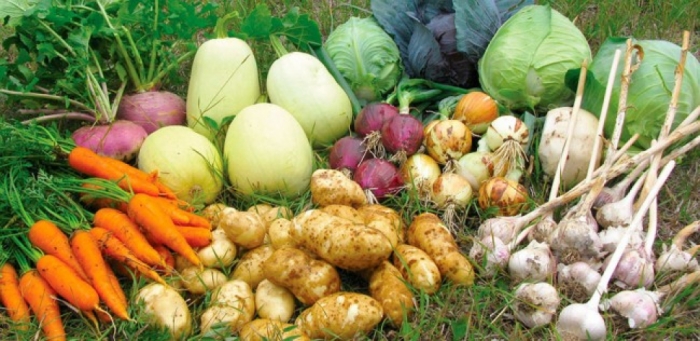 idea99veg_onion_potato.jpg