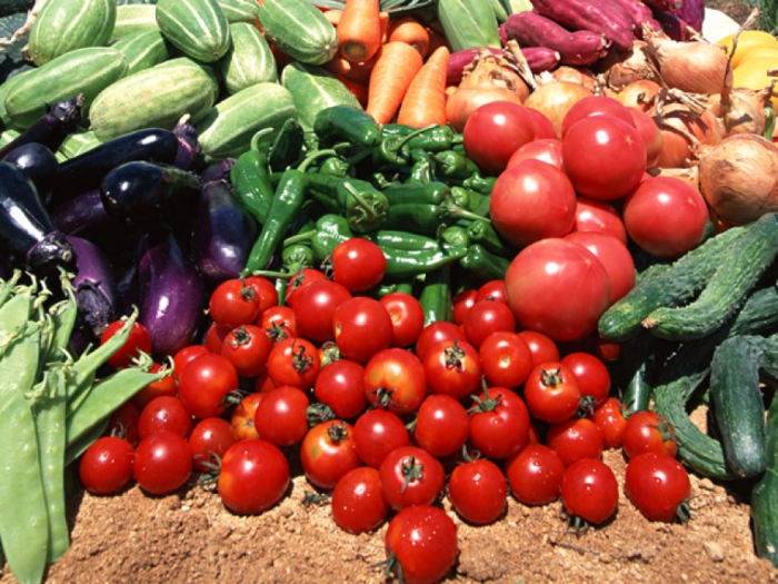 idea99veges_UK.jpg
