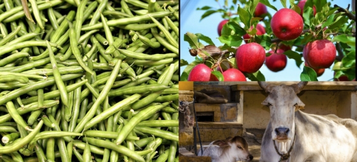 idea99vegetabels_uttarkhand.jpg idea99vegetabels_uttarkhand.jpg