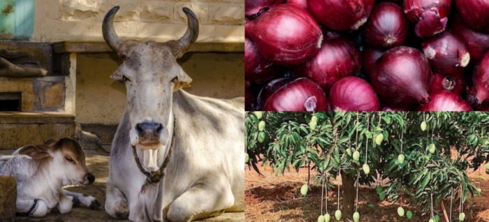 idea99vegetables_nanital.jpg idea99vegetables_nanital.jpg