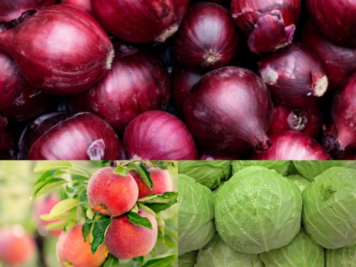 idea99vegetablesss.jpg