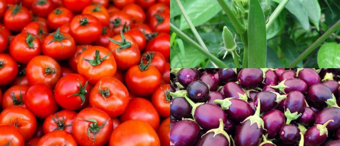 idea99veggies_2.jpg