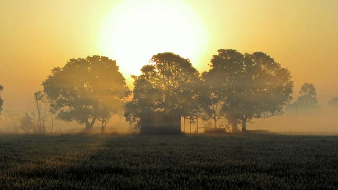idea99village_morning.jpg