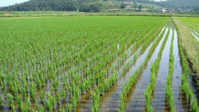 idea99water-ak.jpg idea99water-ak.jpg