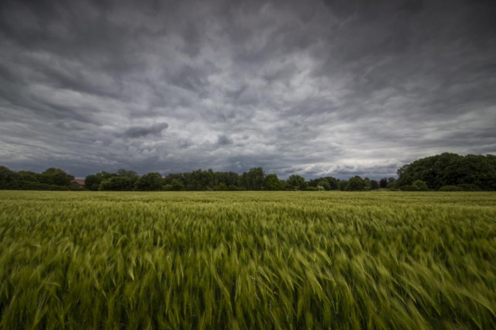idea99weather_crops-ak.jpg
