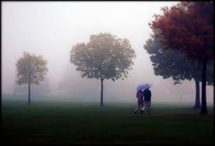 idea99weather_images.jpeg idea99weather_images.jpeg