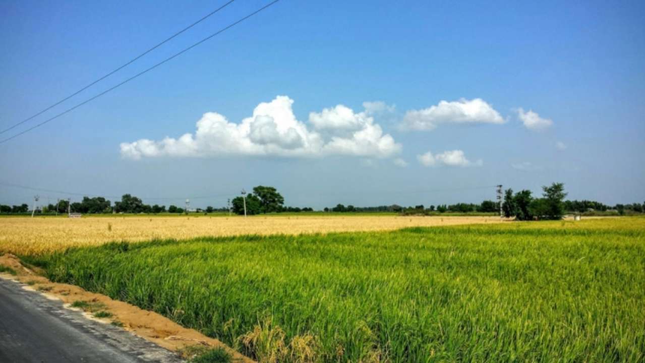 idea99weather_in_Punjab.jpg idea99weather_in_Punjab.jpg