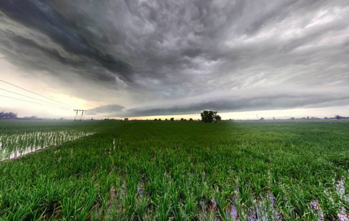 idea99weather_in_punjab.jpg idea99weather_in_punjab.jpg