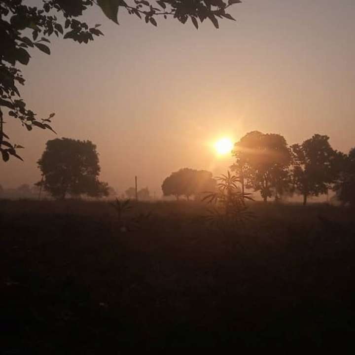 idea99weather_of_haryana.jpg idea99weather_of_haryana.jpg