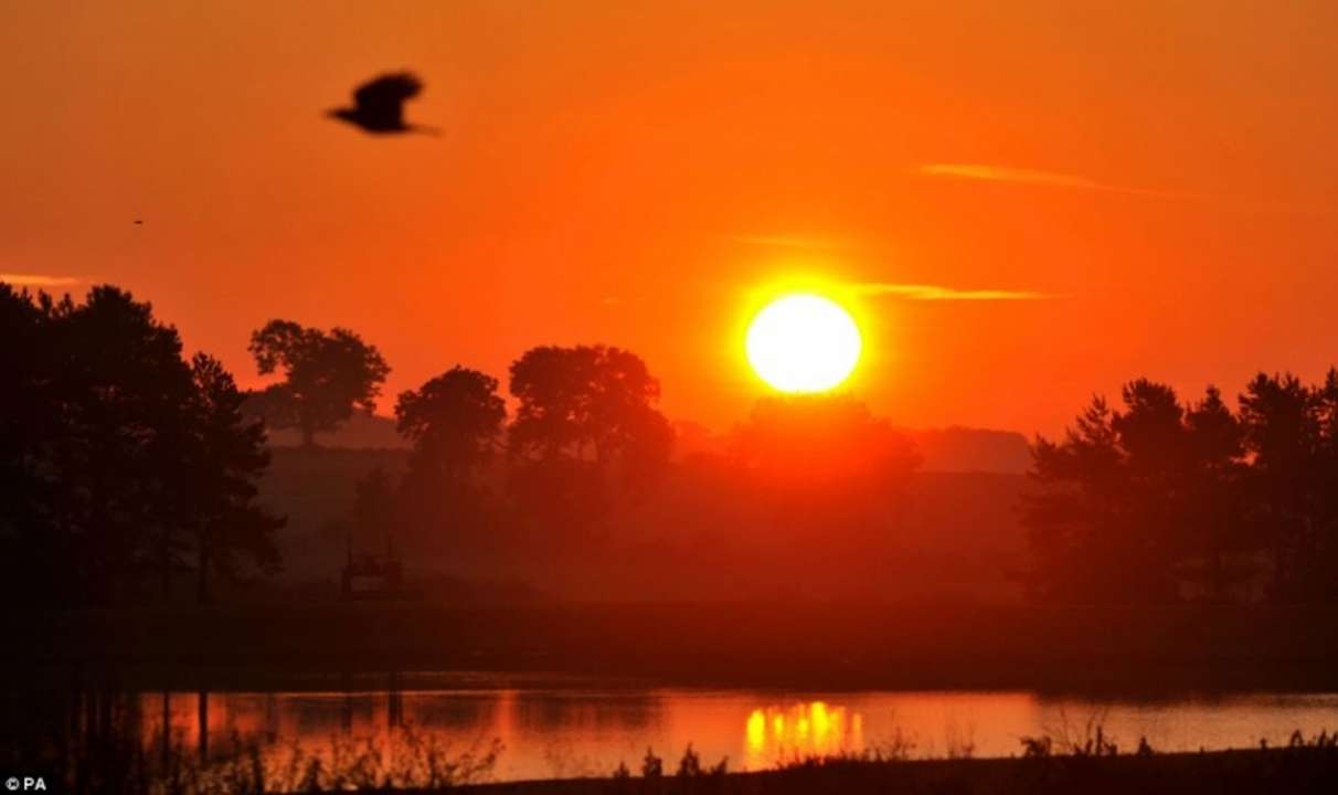 idea99weather_of_haryana_.jpg
