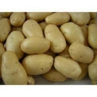 1761idea99download (6).jpg