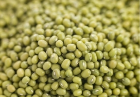 2264idea99Wholesale-Heirloom-20PCS-bag-Seeds-Mungbean-Mung-Bean-Green-Gram-Mash-Bean-Munggo-Green-Soy-Vigna.jpg