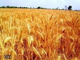 3112idea99download (1).jpg