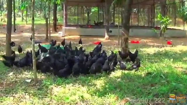 367idea99maxresdefault (2).jpg