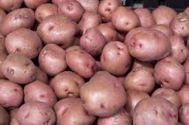 36idea99download (5).jpg