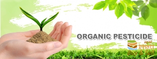398idea99ORGANIC-PESTICIDE-e1420484149625.png