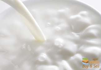 6243idea99milk milk.jpg