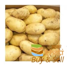 6289idea99AID 15 POTATO 3797 .jpeg