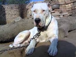 633idea99download (2).jpg