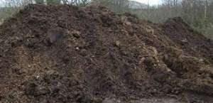 6405idea99download (3).jpg