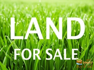 7396idea99lan for.jpg