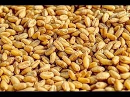 8946idea99images (2).jpg