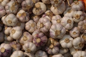 9040idea99garlic.jpg