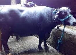 9942idea99images (9).jpg