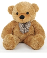 idea9924-inchteddy-500x500.jpg