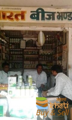 idea99bharat-beej-bhandar-udaipurwati-jhunjhunu-pesticide-dealers-2whajtl.jpg