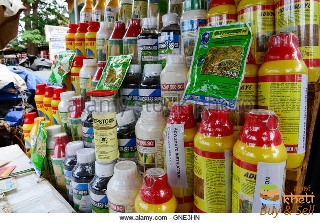 idea99burkina-faso-bobo-dioulasso-market-sale-of-pesticides-fertilizer-seeds-gne3hn-1-.jpg