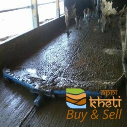 idea99cow-dung-floor-scraper-250x250.jpg