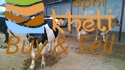 idea99cross-breed-hf-cross-jersey-cows-125x125.jpg