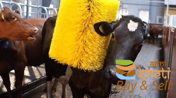 idea99dairy-farm-machinery-cattle-brush-automatic-bath.png_350x350.png