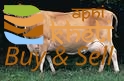 idea99dairy-jersey-cow-125x125.jpg