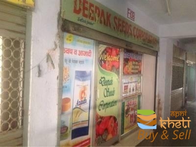idea99deepak-seeds-corporation-murlipura-jaipur-seed-retailers-1t6lm2d.jpg