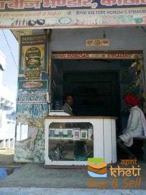 idea99divya-beej-bhandar-kachola-bhilwara-211f1.jpg