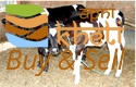 idea99genetics-calfs-125x125.png