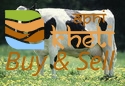 idea99hybrid-cow-125x125.jpg